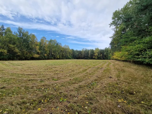 3 działki z WZ o pow. od 3.001 m2 - 3.848 m2  |  Buczek